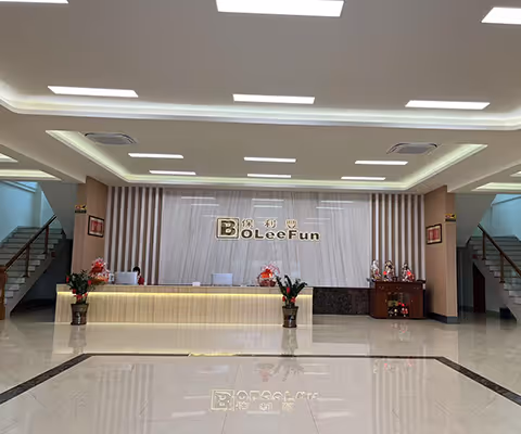 Factory Tour-Boleefun